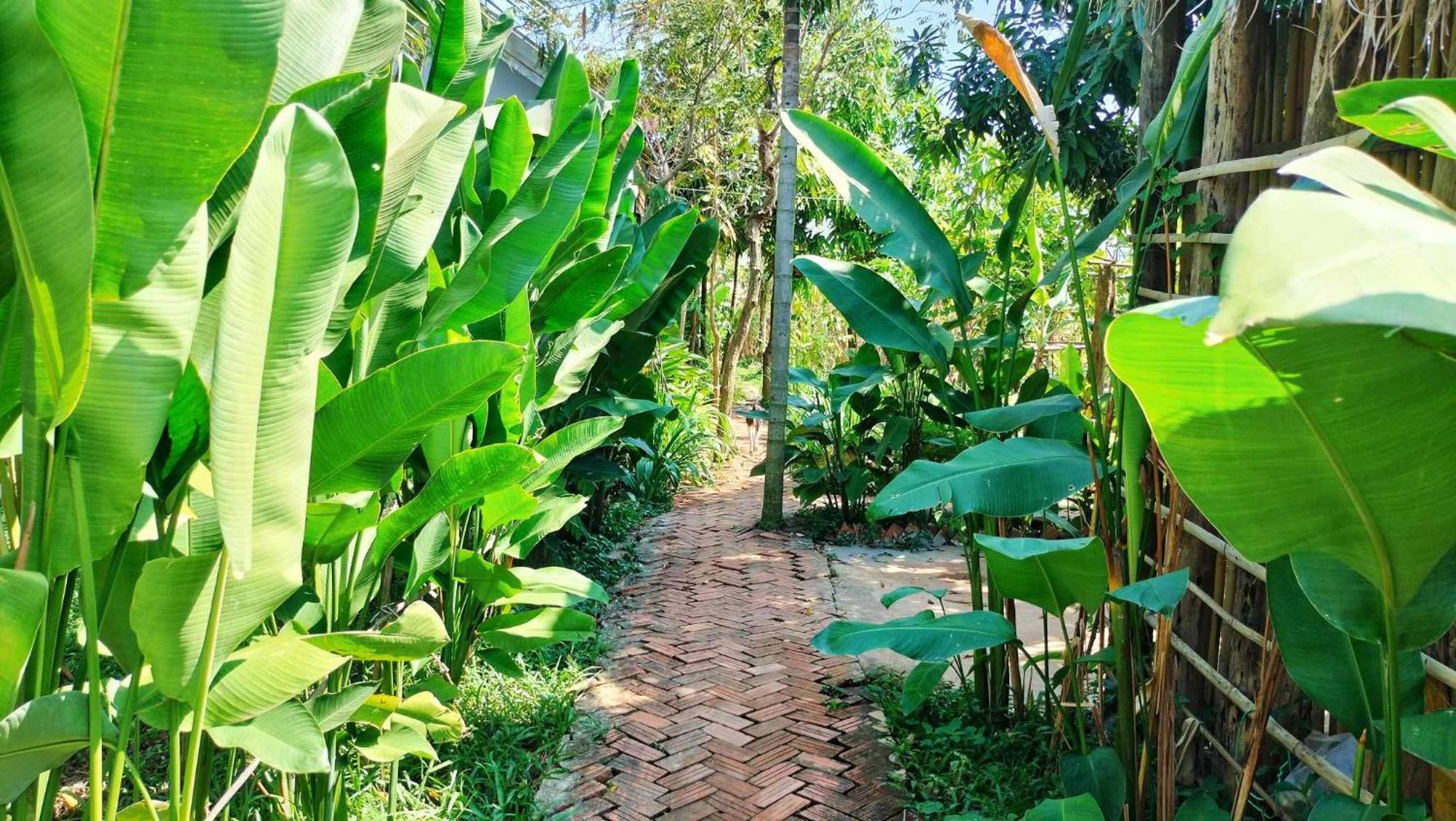 Urban Farmhouse Siem Reap Exteriér fotografie